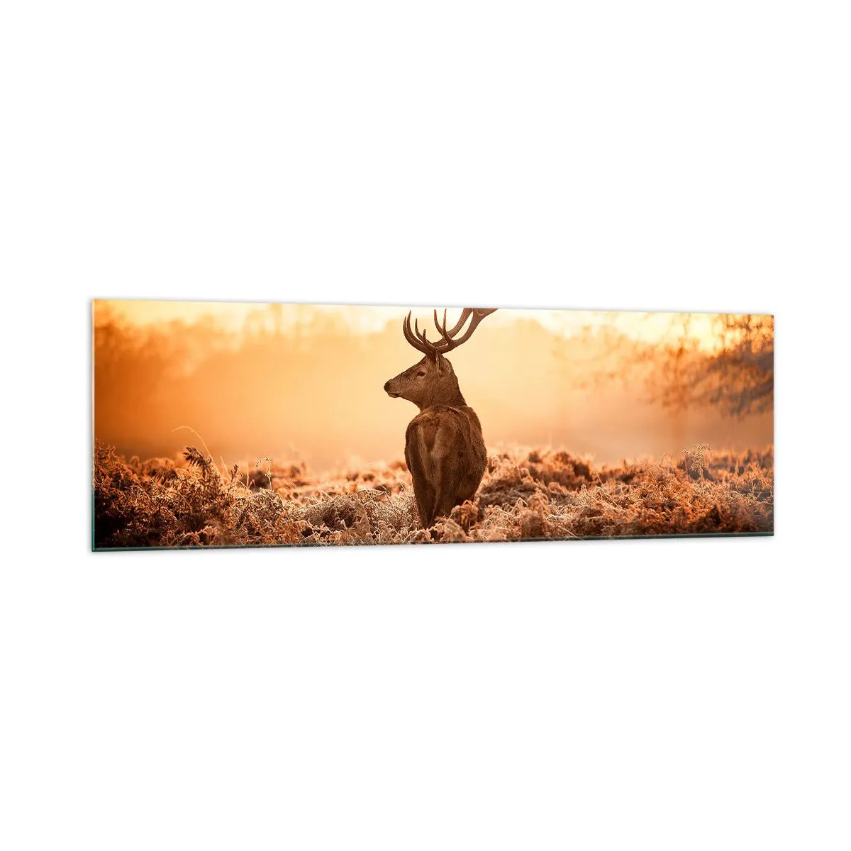 Glastavla - Bild på glas - Herre på godset - 160x50 cm