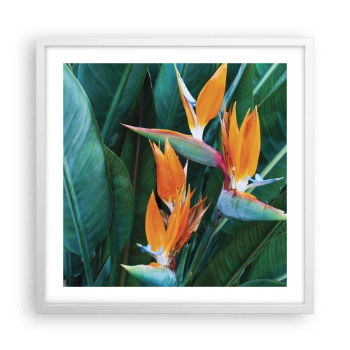 Affisch i vit ram - Är det en blomma, eller en fågel? - 50x50 cm