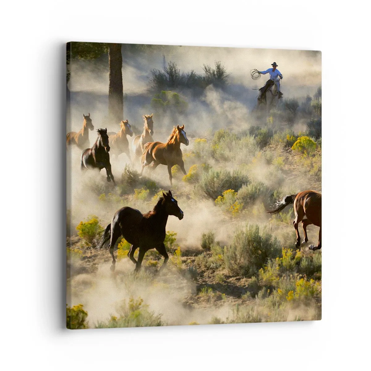 Canvastavla - Bild på duk - Tävlande - frihet eller manlig styrka? - 40x40 cm