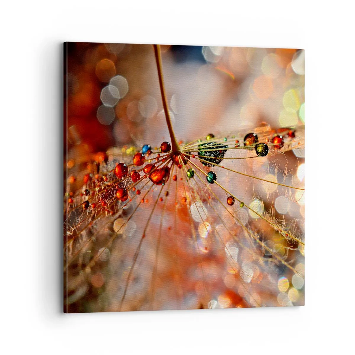 Canvastavla - Bild på duk - Trädda på spindelnät - 70x70 cm