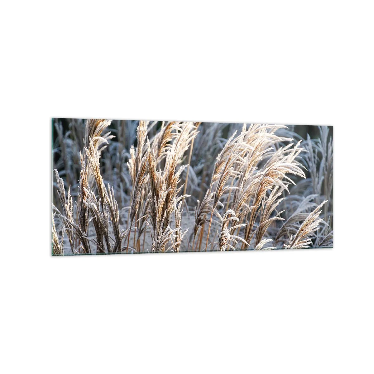 Glastavla - Bild på glas - Frostprydda - 120x50 cm