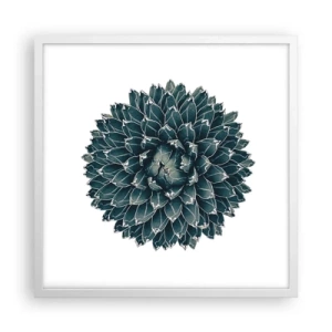 Affisch i vit ram - Öknens stjärna - 50x50 cm