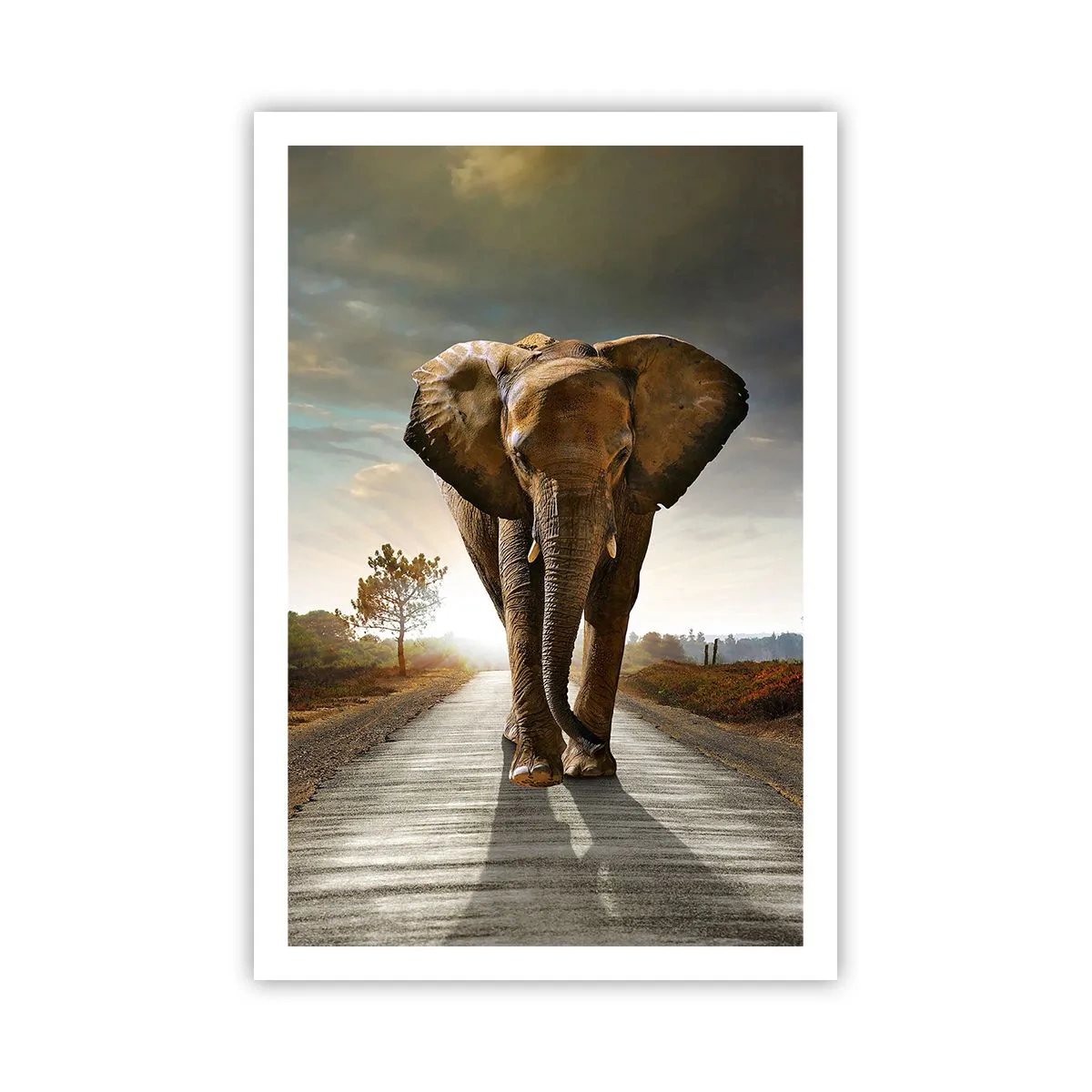 Affisch - Inte alls i en porslinsbutik - 61x91 cm