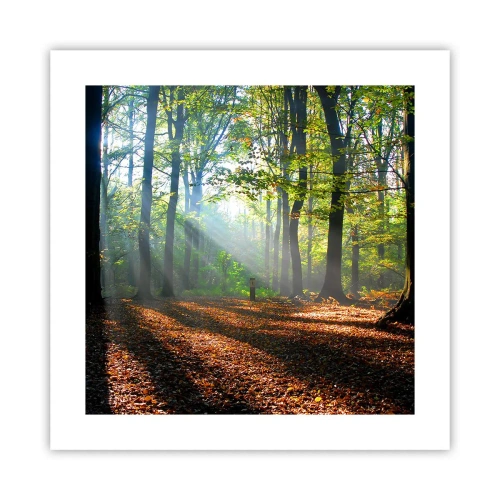 Affisch - Sken-och skuggspel - 40x40 cm