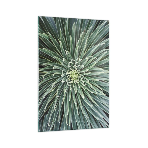 Glastavla - Bild på glas - Stjärna föds - 70x100 cm