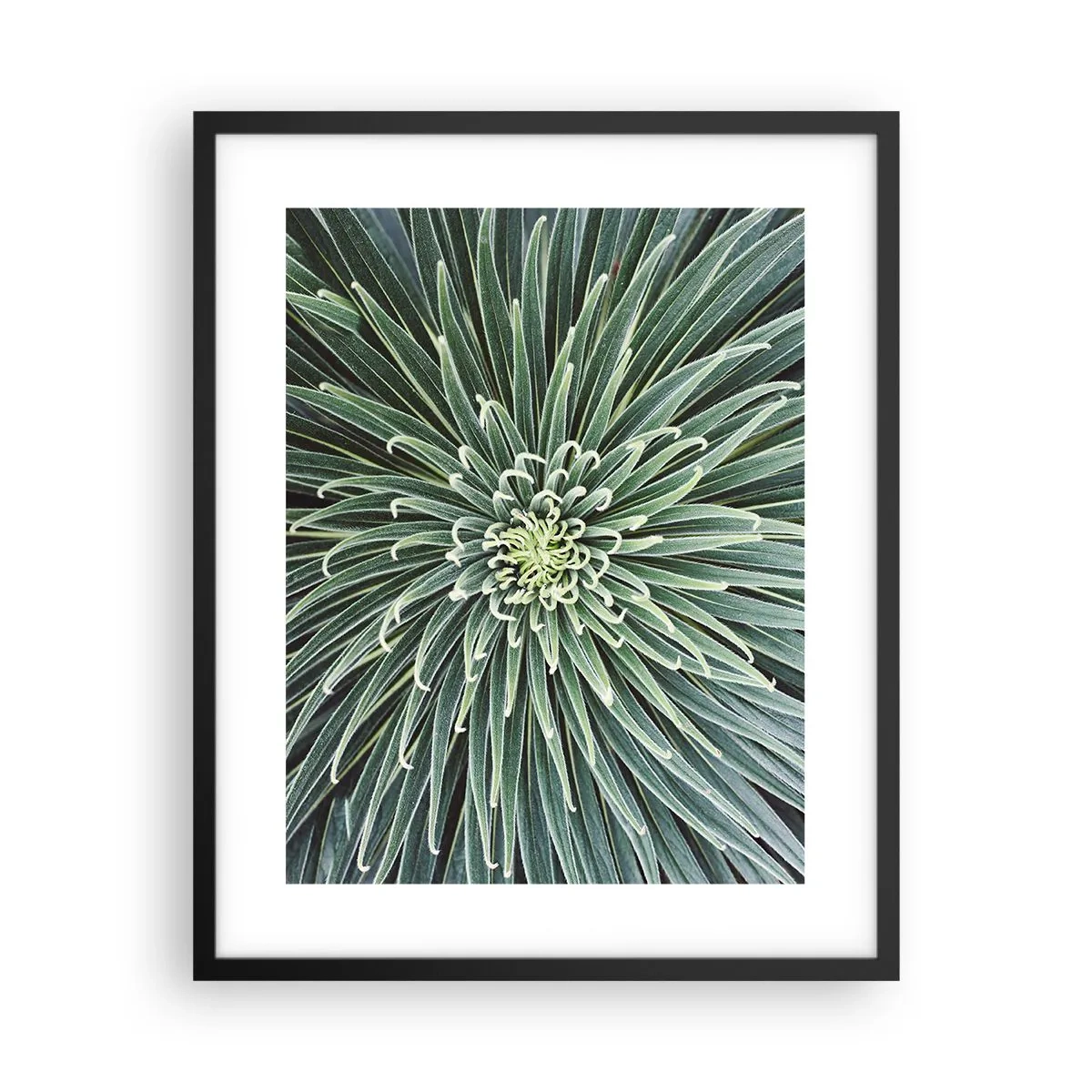 Affisch i svart ram - Stjärna föds - 40x50 cm