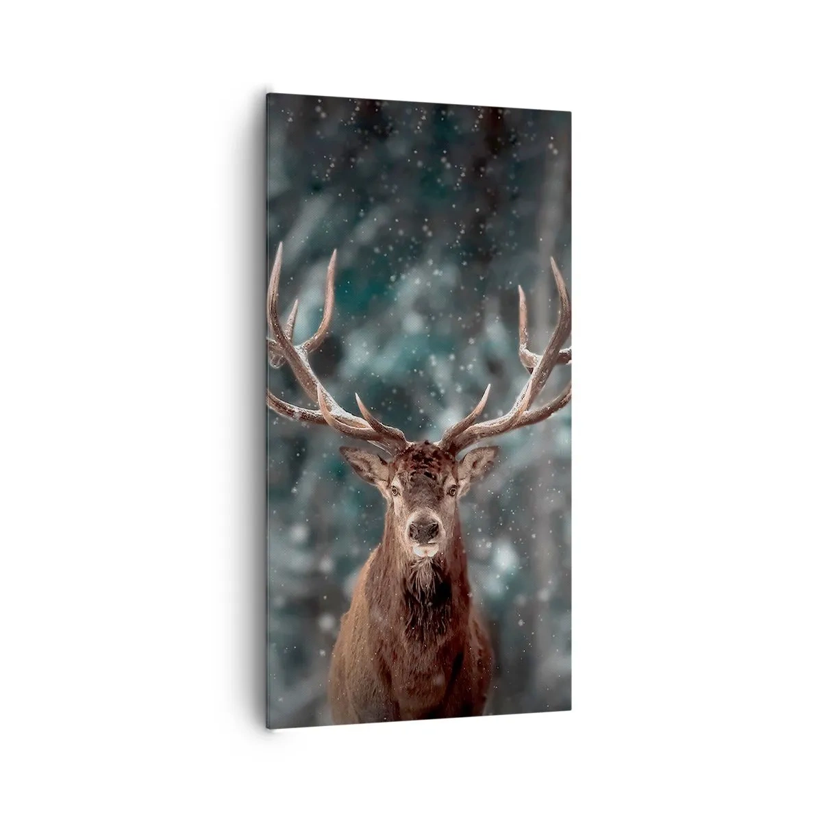 Canvastavla - Bild på duk - Krönt skogens kung - 65x120 cm