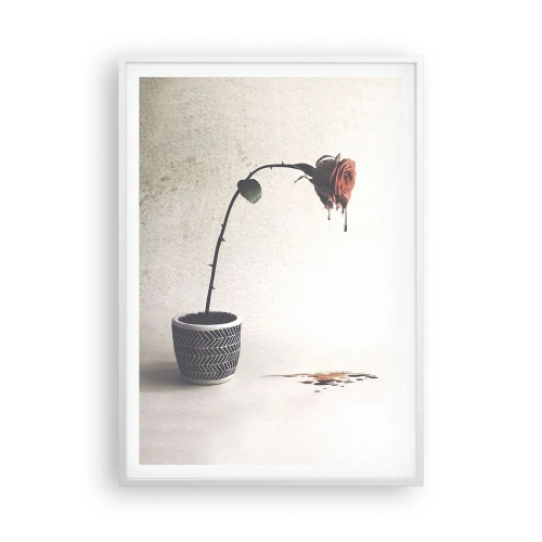 Affisch i vit ram - Rosa dolorosa - 70x100 cm