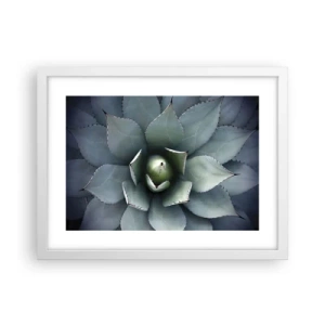 Affisch i vit ram - Lockar och varnar - 40x30 cm