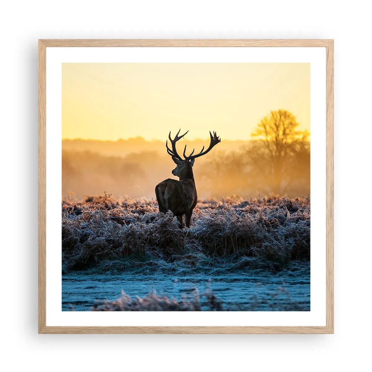 Affisch i ram av ljusek - Krönt på sin mark - 60x60 cm