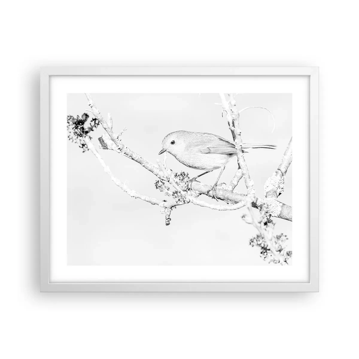 Affisch i vit ram - Vintermorgon - 50x40 cm