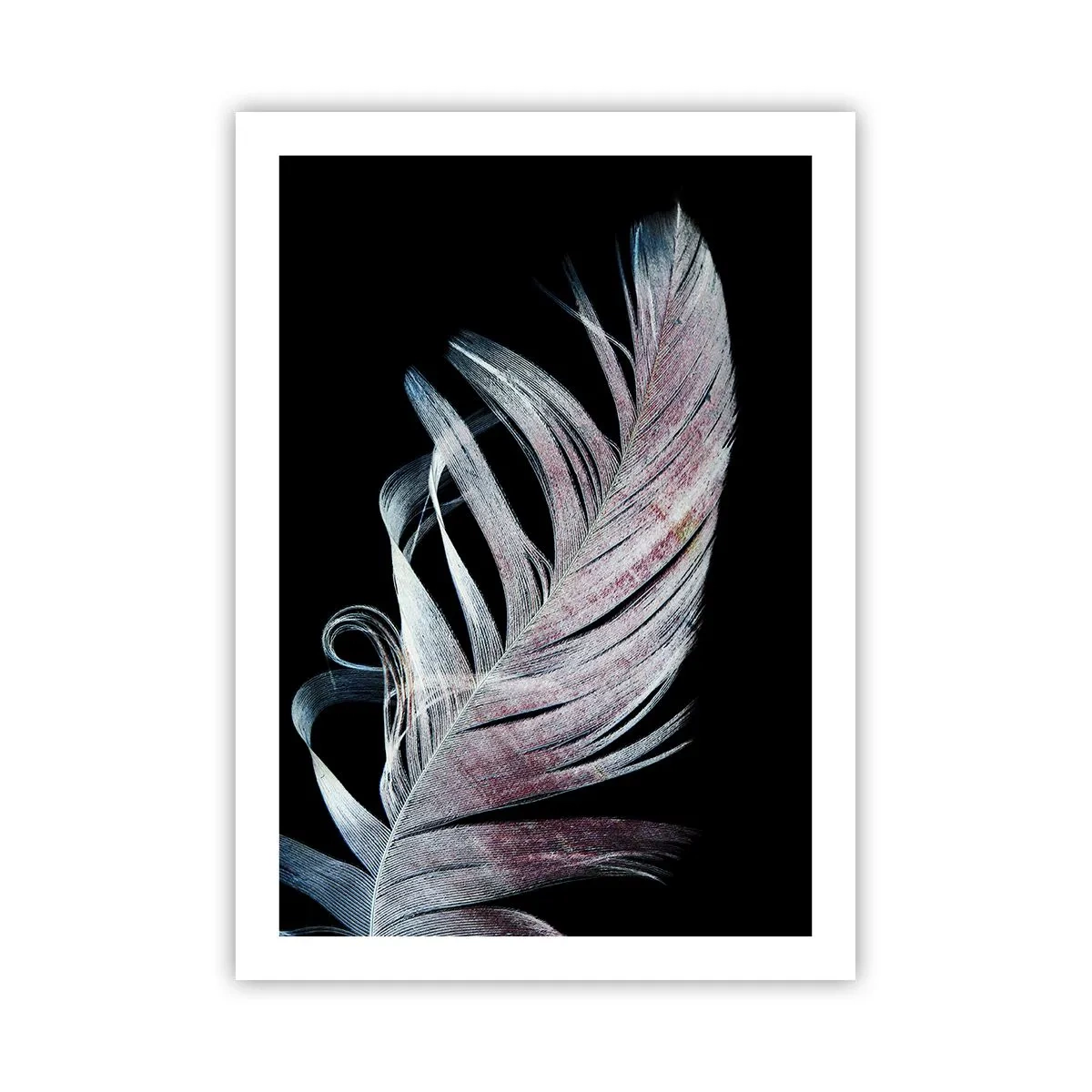 Affisch - Tänk på smekning - 50x70 cm