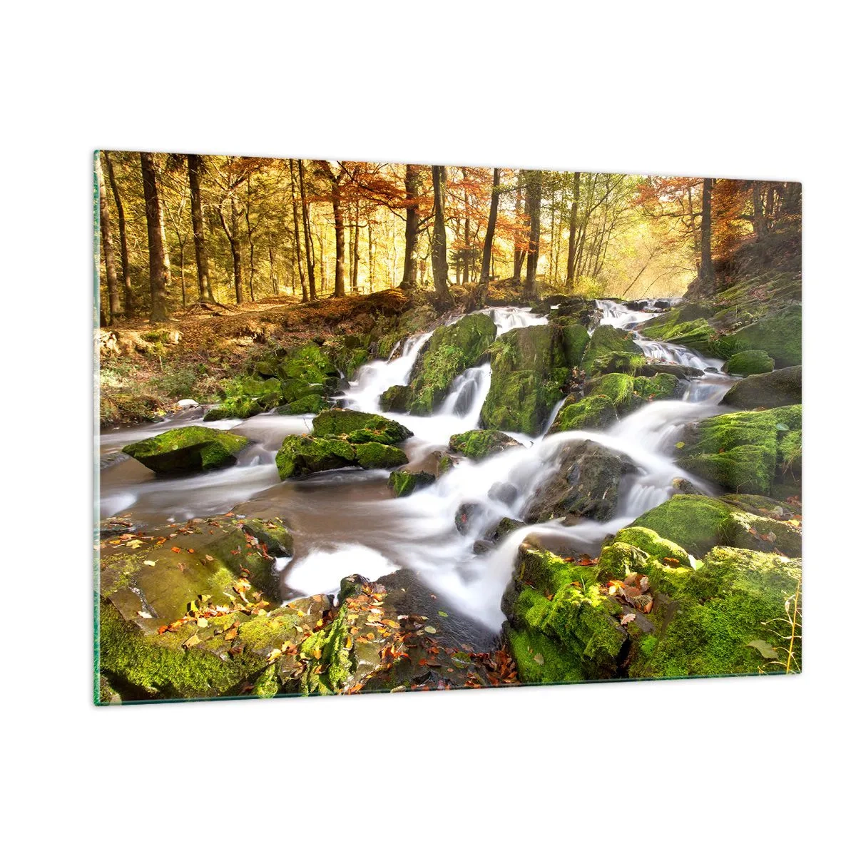 Glastavla - Bild på glas - Kvickt genom höstskogen - 120x80 cm