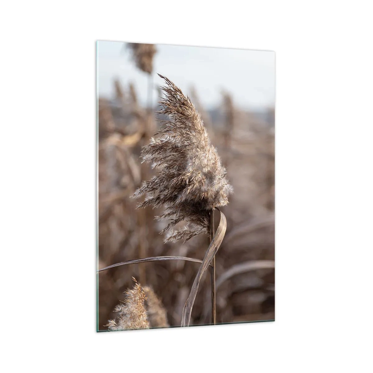 Glastavla - Bild på glas - Dags att flyga bort med vinden - 70x100 cm