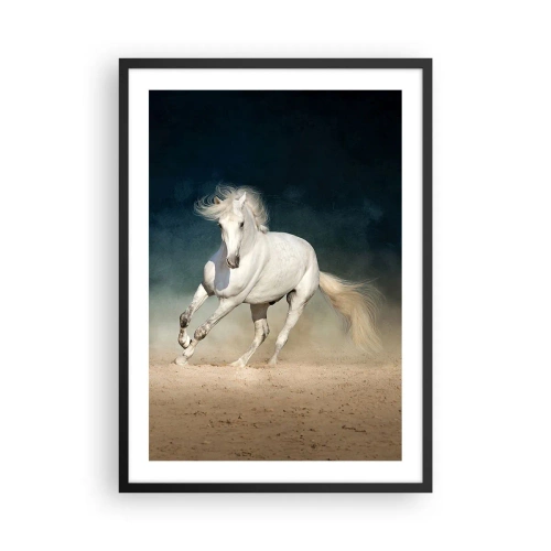 Affisch i svart ram - En vit häst galopperar över sandmarken - 50x70cm - Frihet i ett rent tillstånd - Modern väggdekoration för vardagsrum och sovrum ARTTOR