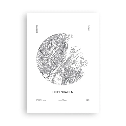 Affisch - Köpenhamns anatomi - 50x70 cm