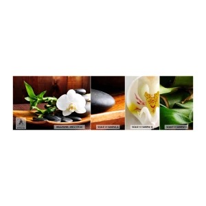 Provbit av självhäftande fototapet Deluxe Sticker - Bli berörd av naturen - Blommor, Orkide, Orkide - 100x30 cm