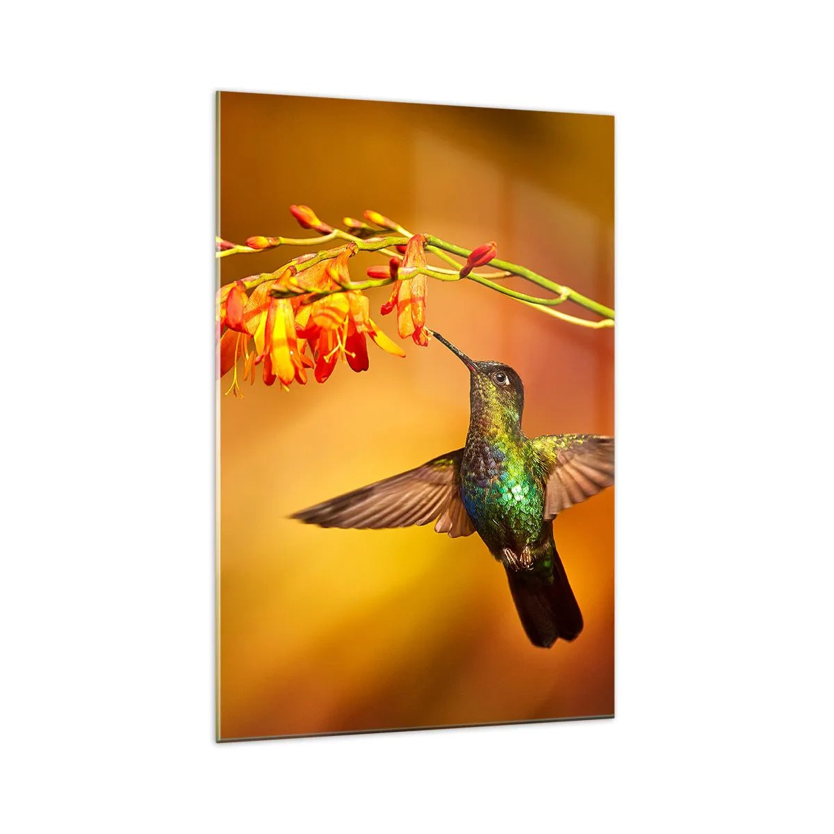 Glastavla - Bild på glas - Ljusbud enligt Mayafolket - 70x100 cm
