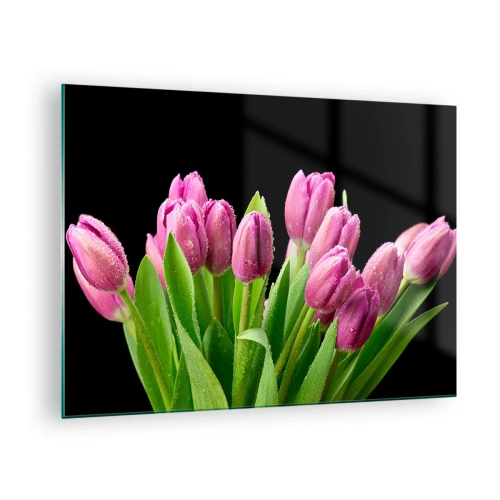 Glastavla - Bild på glas - En bukett rosa tulpaner täckta med vattendroppar på en svart bakgrund. - 70x50cm - Vårens lila glädje - Modern väggdekoration för vardagsrum och sovrum ARTTOR