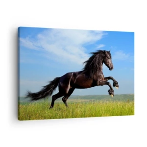 Canvastavla - Bild på duk - En svart häst som springer mot en blå himmel och en grön äng - 70x50cm - Tagande frihetsmanifest - Modern väggdekoration för vardagsrum och sovrum ARTTOR