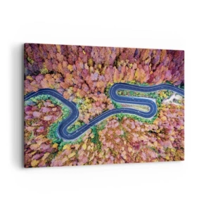 Canvastavla - Bild på duk - Slingrande väg genom skogen - 100x70 cm