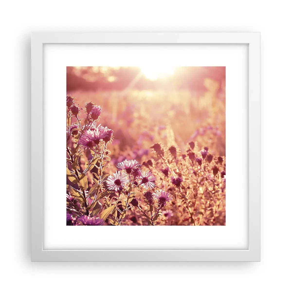 Affisch i vit ram - Innan sommaren går bort - 30x30 cm
