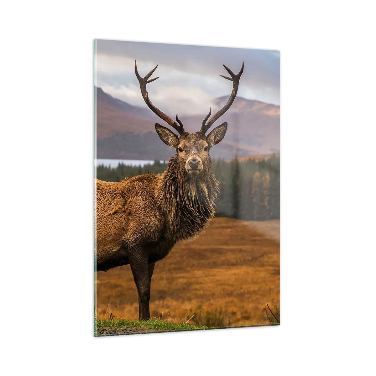 Glastavla - Bild på glas - Naturens majestät - 50x70 cm