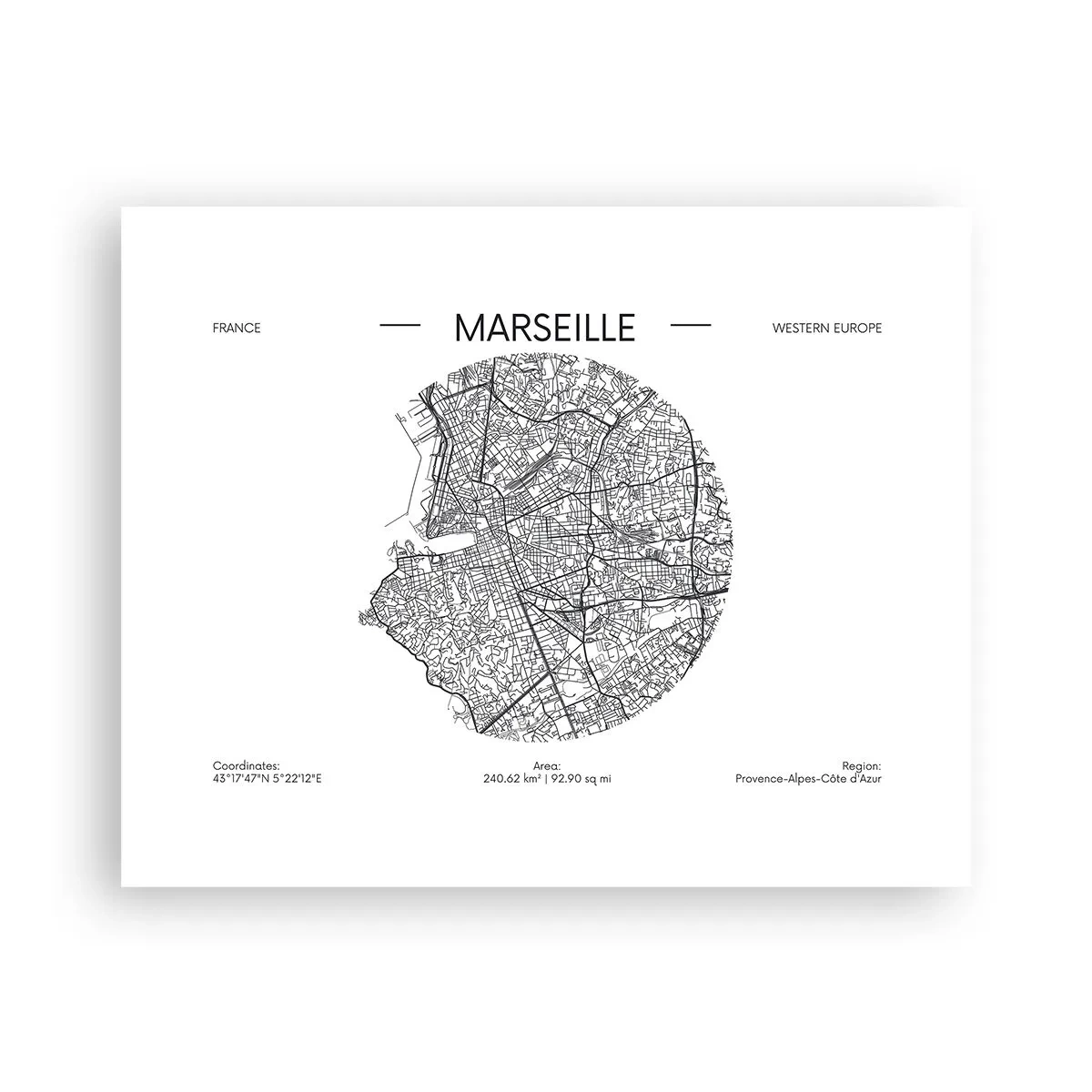 Affisch - Marseilles anatomi - 50x40 cm