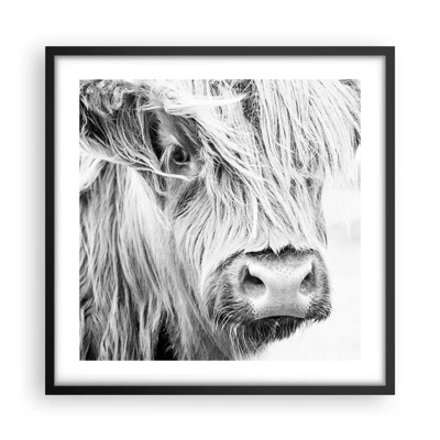 Affisch i svart ram - Skotsk vildhet - 50x50 cm