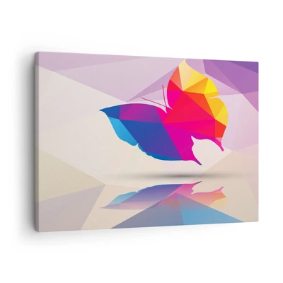 Bild på duk - Fjärilregnbåge - 70x50 cm