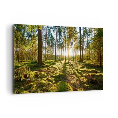 Canvastavla - Bild på duk - ...Bortom sjunde skogen - 120x80 cm