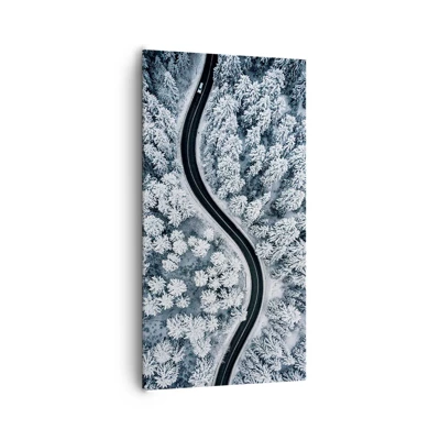 Canvastavla - Bild på duk - Genom vinterskogen - 65x120 cm
