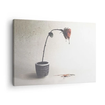 Canvastavla - Bild på duk - Rosa dolorosa - 70x50 cm