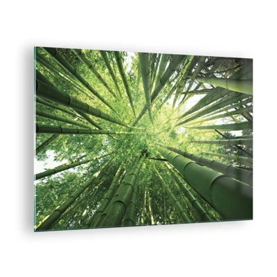 Glastavla - Bild på glas - I en bambushage - 70x50 cm