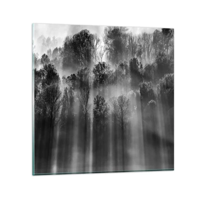 Glastavla - Bild på glas - I ljusstrålar - 60x60 cm