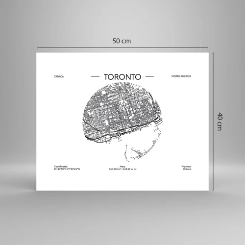 Affisch - Torontos anatomi - 50x40 cm