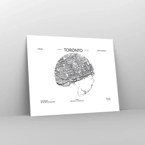 Affisch - Torontos anatomi - 50x40 cm