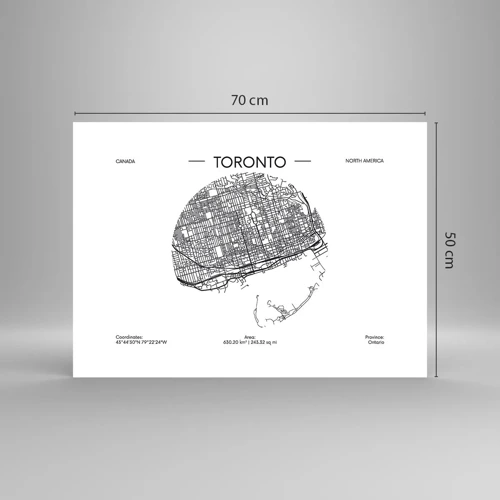 Affisch - Torontos anatomi - 70x50 cm