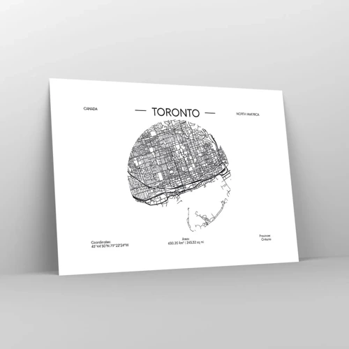 Affisch - Torontos anatomi - 70x50 cm