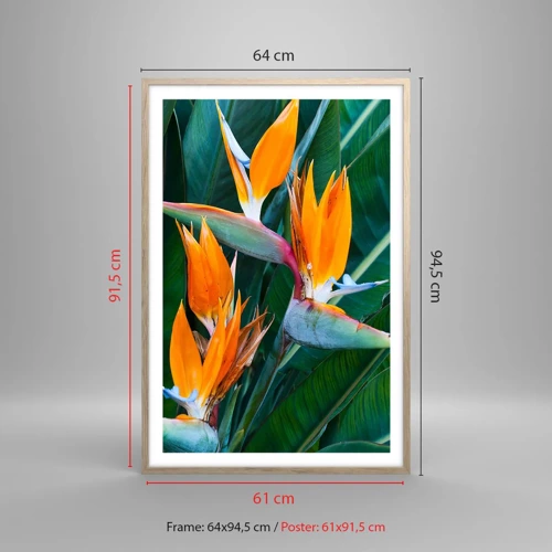 Affisch i ram av ljusek - Är det en blomma, eller en fågel? - 61x91 cm