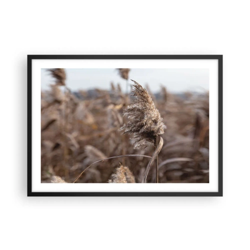 Affisch i svart ram Arttor 70x50 cm - Dags att flyga bort med vinden - Äng, Pampas Gräs, Natur, Landskap, Boho, Till vardagsrum, Till sovrum, Brun, Blå, Horisontella, P2BAA70x50-4763