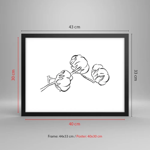 Affisch i svart ram - Bomullsdun - 40x30 cm