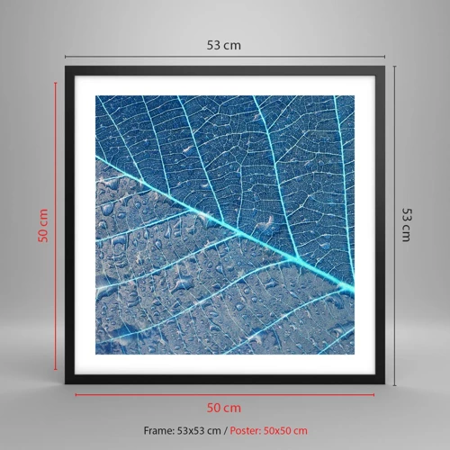 Affisch i svart ram - Livet i det blåa - 50x50 cm
