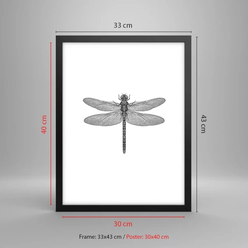 Affisch i svart ram - Precision i naturen - 30x40 cm