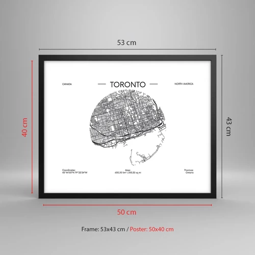 Affisch i svart ram - Torontos anatomi - 50x40 cm