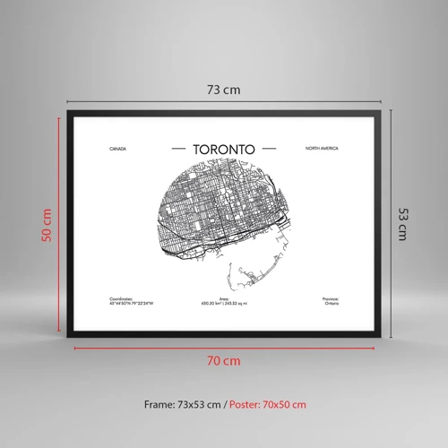 Affisch i svart ram - Torontos anatomi - 70x50 cm