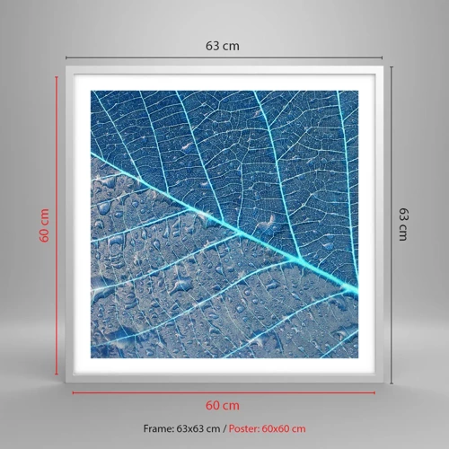 Affisch i vit ram - Livet i det blåa - 60x60 cm