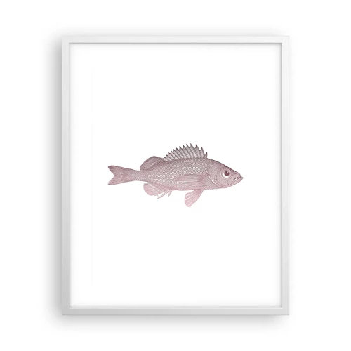 Affisch i vit ram - Storögd fisk - 40x50 cm