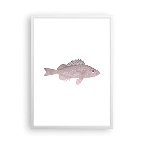 Affisch i vit ram - Storögd fisk - 50x70 cm