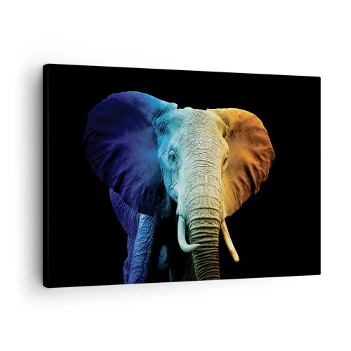 Bild på duk Arttor 70x50 cm - Excentriker, ej kuf - Abstraktion, Elefant, Djur, Afrika, Safari, Till vardagsrum, Till sovrum, Brun, Blå, Horisontella, Duk, AA70x50-4768